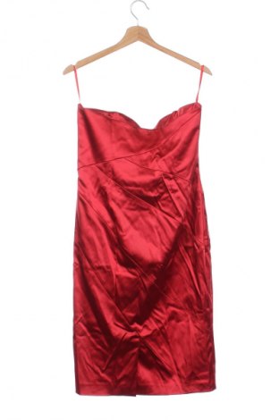 Kleid Coast, Größe L, Farbe Rot, Preis € 66,99