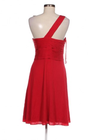 Kleid Coast, Größe L, Farbe Rot, Preis 42,99 €