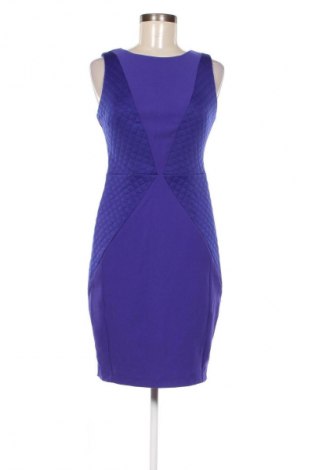 Kleid Coast, Größe S, Farbe Blau, Preis 25,99 €