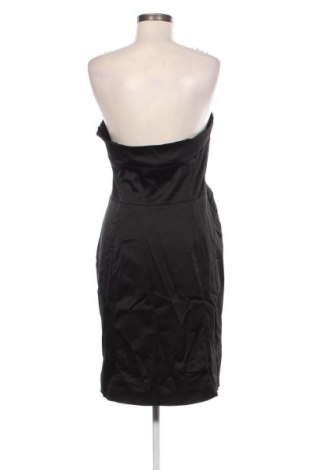 Kleid Coast, Größe XXL, Farbe Schwarz, Preis 51,99 €