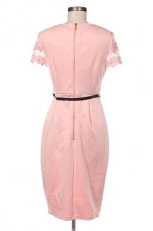 Kleid Dorothy Perkins, Größe M, Farbe Rosa, Preis 9,99 €