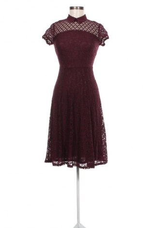 Kleid Dorothy Perkins, Größe XS, Farbe Rot, Preis € 9,79