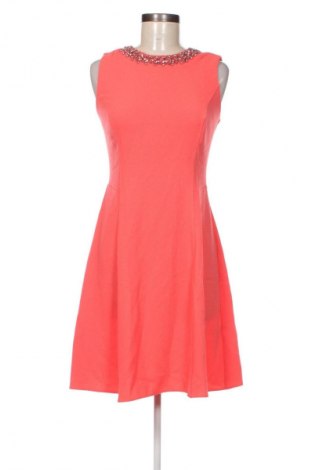 Kleid Dorothy Perkins, Größe S, Farbe Rosa, Preis 43,29 €