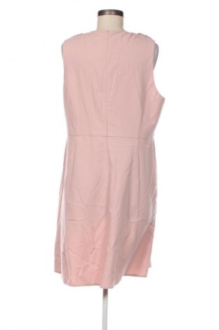 Sukienka Dorothy Perkins, Rozmiar XL, Kolor Różowy, Cena 56,99 zł