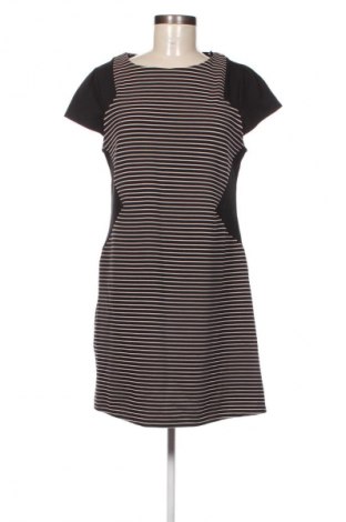 Kleid Dorothy Perkins, Größe XL, Farbe Mehrfarbig, Preis 11,99 €