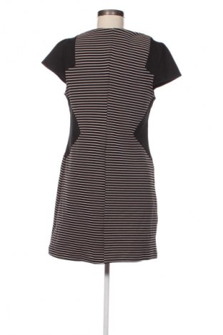 Kleid Dorothy Perkins, Größe XL, Farbe Mehrfarbig, Preis € 9,99