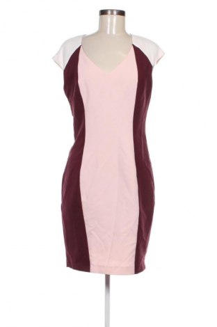 Kleid Dorothy Perkins, Größe M, Farbe Mehrfarbig, Preis 9,99 €