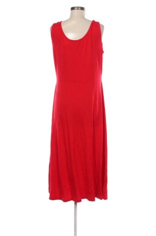 Kleid Dorothy Perkins, Größe XL, Farbe Rot, Preis € 19,49