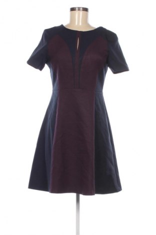 Kleid Dorothy Perkins, Größe M, Farbe Mehrfarbig, Preis € 9,99