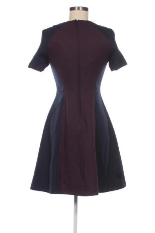 Kleid Dorothy Perkins, Größe M, Farbe Mehrfarbig, Preis 9,99 €