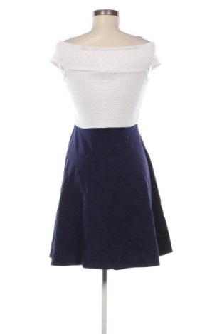 Kleid Dorothy Perkins, Größe M, Farbe Mehrfarbig, Preis € 9,99