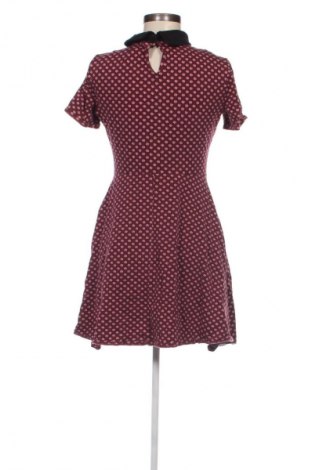 Kleid Dorothy Perkins, Größe L, Farbe Mehrfarbig, Preis € 18,99