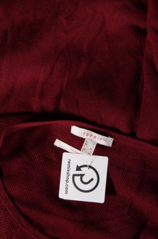 Kleid Esprit, Größe L, Farbe Rot, Preis € 18,99