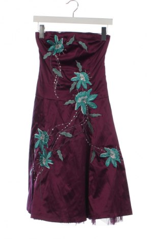 Kleid Eucalyptus, Größe XS, Farbe Lila, Preis € 4,49