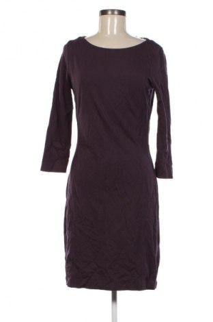 Kleid Filippa K, Größe L, Farbe Lila, Preis 57,49 €