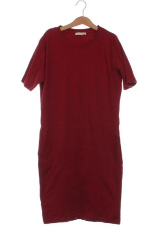 Kleid Fisherfield, Größe XS, Farbe Rot, Preis € 2,99