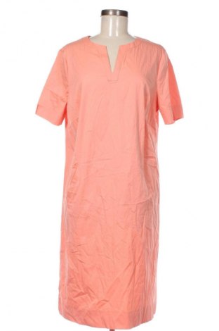 Kleid Frank Walder, Größe XL, Farbe Rosa, Preis 37,49 €