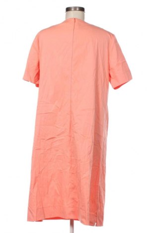 Kleid Frank Walder, Größe XL, Farbe Rosa, Preis 37,49 €