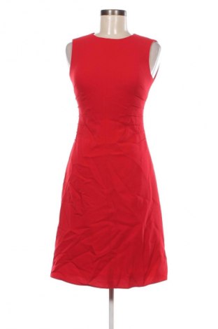 Kleid Hobbs London, Größe S, Farbe Rot, Preis 45,99 €