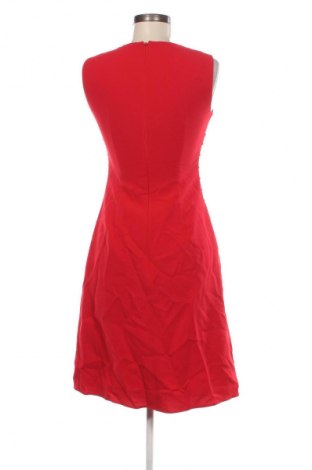 Kleid Hobbs London, Größe S, Farbe Rot, Preis € 45,99