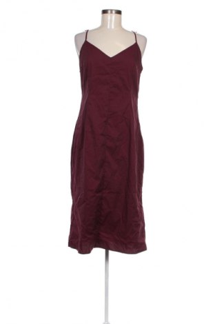 Kleid Ivy & Oak, Größe L, Farbe Lila, Preis € 36,99