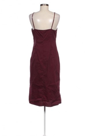 Kleid Ivy & Oak, Größe L, Farbe Lila, Preis 36,99 €