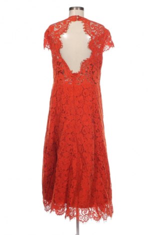 Kleid Ivy & Oak, Größe XL, Farbe Orange, Preis € 105,29