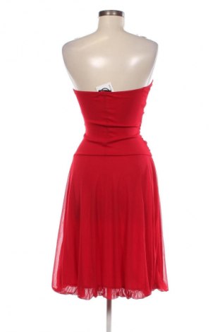 Kleid Laura Scott, Größe XS, Farbe Rot, Preis 13,49 €