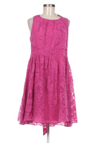 Kleid M&Co., Größe XL, Farbe Rosa, Preis 12,49 €