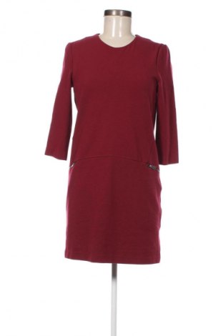 Kleid Mango, Größe XS, Farbe Rot, Preis 7,49 €