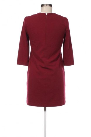 Kleid Mango, Größe XS, Farbe Rot, Preis € 8,99