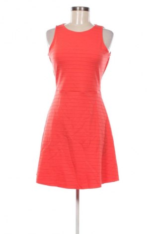 Kleid Mango, Größe S, Farbe Rot, Preis 12,49 €