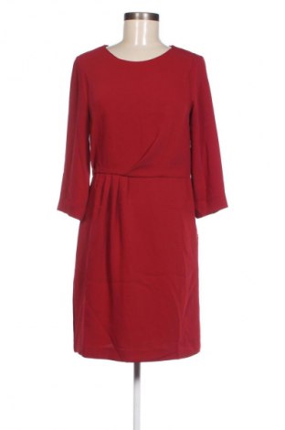 Kleid Massimo Dutti, Größe M, Farbe Rot, Preis 57,29 €