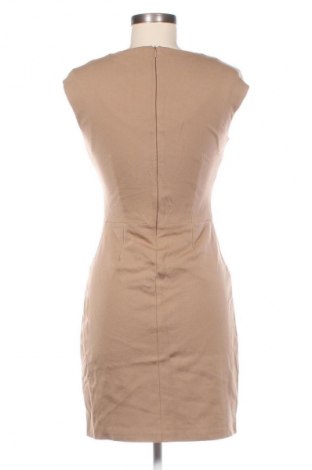 Kleid Massimo Dutti, Größe S, Farbe Braun, Preis € 11,99