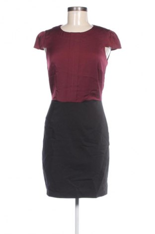 Kleid Mint & Berry, Größe XXS, Farbe Mehrfarbig, Preis € 13,49