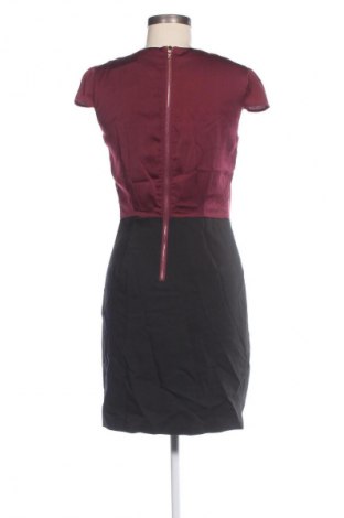 Kleid Mint & Berry, Größe XXS, Farbe Mehrfarbig, Preis € 13,49