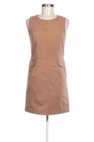 Kleid Next, Größe S, Farbe Beige, Preis 20,49 €