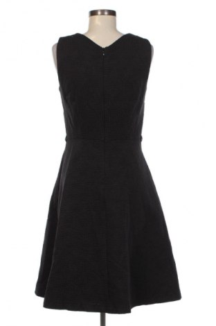 Kleid Next, Größe M, Farbe Schwarz, Preis 21,99 €