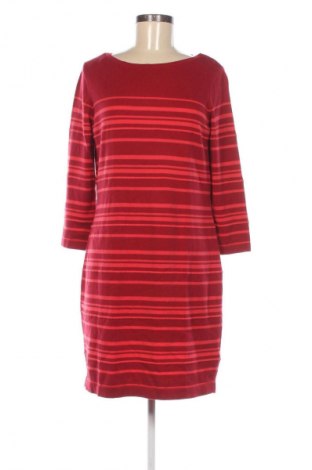 Kleid Paraphrase, Größe L, Farbe Mehrfarbig, Preis € 9,49