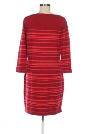 Kleid Paraphrase, Größe L, Farbe Mehrfarbig, Preis € 9,49