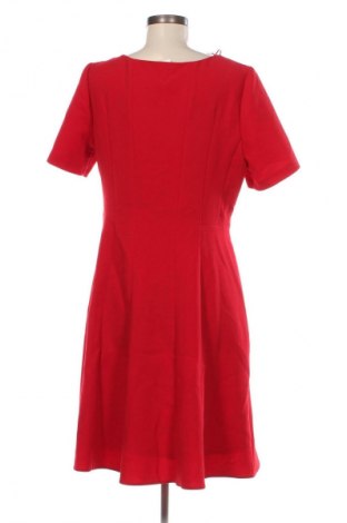 Kleid Phase Eight, Größe XL, Farbe Rot, Preis 25,99 €