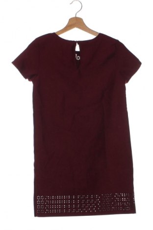 Kleid Phase Eight, Größe S, Farbe Rot, Preis € 25,99