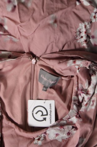 Kleid Phase Eight, Größe L, Farbe Rosa, Preis € 22,99