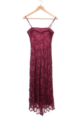 Kleid Phase Eight, Größe XS, Farbe Rosa, Preis 26,99 €