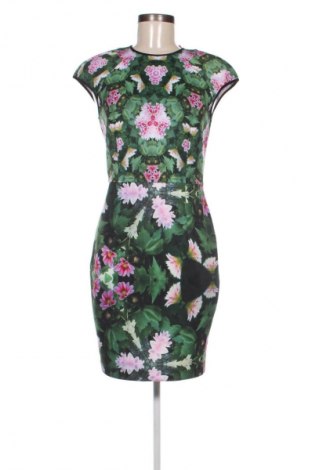 Kleid Ted Baker, Größe S, Farbe Grün, Preis € 80,32