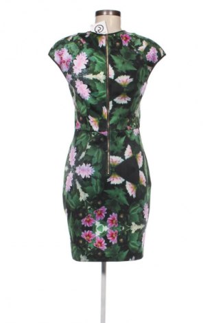 Kleid Ted Baker, Größe S, Farbe Grün, Preis 60,49 €