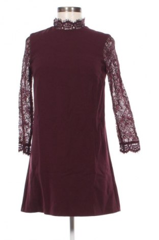 Kleid Topshop, Größe XS, Farbe Lila, Preis 13,99 €