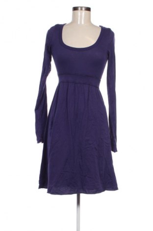 Kleid Velvet by Graham & Spencer, Größe S, Farbe Lila, Preis 22,99 €