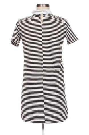 Kleid Zara Trafaluc, Größe S, Farbe Mehrfarbig, Preis 16,99 €