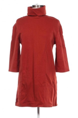 Kleid Zara Trafaluc, Größe S, Farbe Braun, Preis 5,49 €